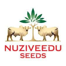 NUZIVEEDU SEEDS